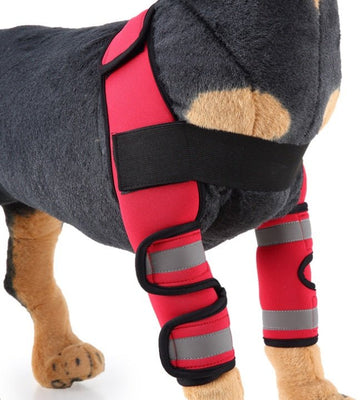 Pet Dog Knee Pads Support Brace 1pair - Has Our Seal of Approval