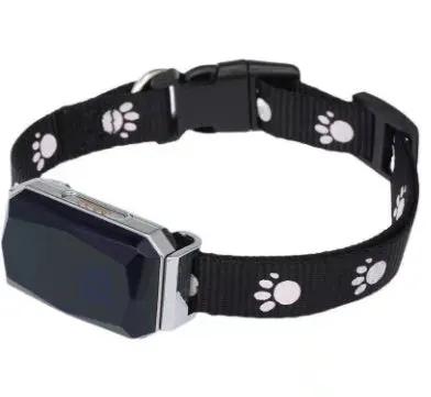 Beidou GPS pet positioning collar CJ Dropshipping 