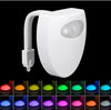 Can't Miss Now. Now She Can If You Left The Seat Up!!! Toilet Light. CJ Dropshipping  Has Our Seal of Approval