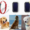 Beidou GPS pet positioning collar CJ Dropshipping  Has Our Seal of Approval
