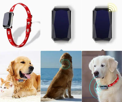 Beidou GPS pet positioning collar CJ Dropshipping 