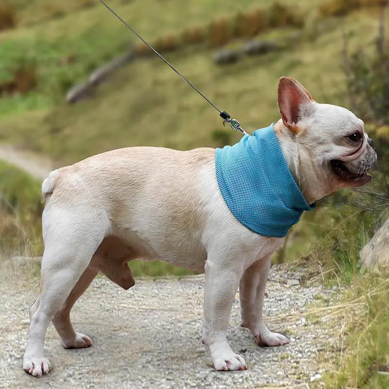 New Instant Cooling Pet Bandana Dog Scarf Summer Cooling Towel Wrap Dog Collar CJ Dropshipping 