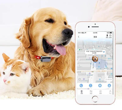 Beidou GPS pet positioning collar CJ Dropshipping 