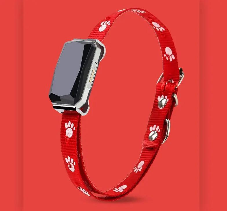 Beidou GPS pet positioning collar CJ Dropshipping 