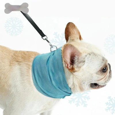 New Instant Cooling Pet Bandana Dog Scarf Summer Cooling Towel Wrap Dog Collar CJ Dropshipping 