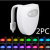 Can't Miss Now. Now She Can If You Left The Seat Up!!! Toilet Light. CJ Dropshipping  Has Our Seal of Approval